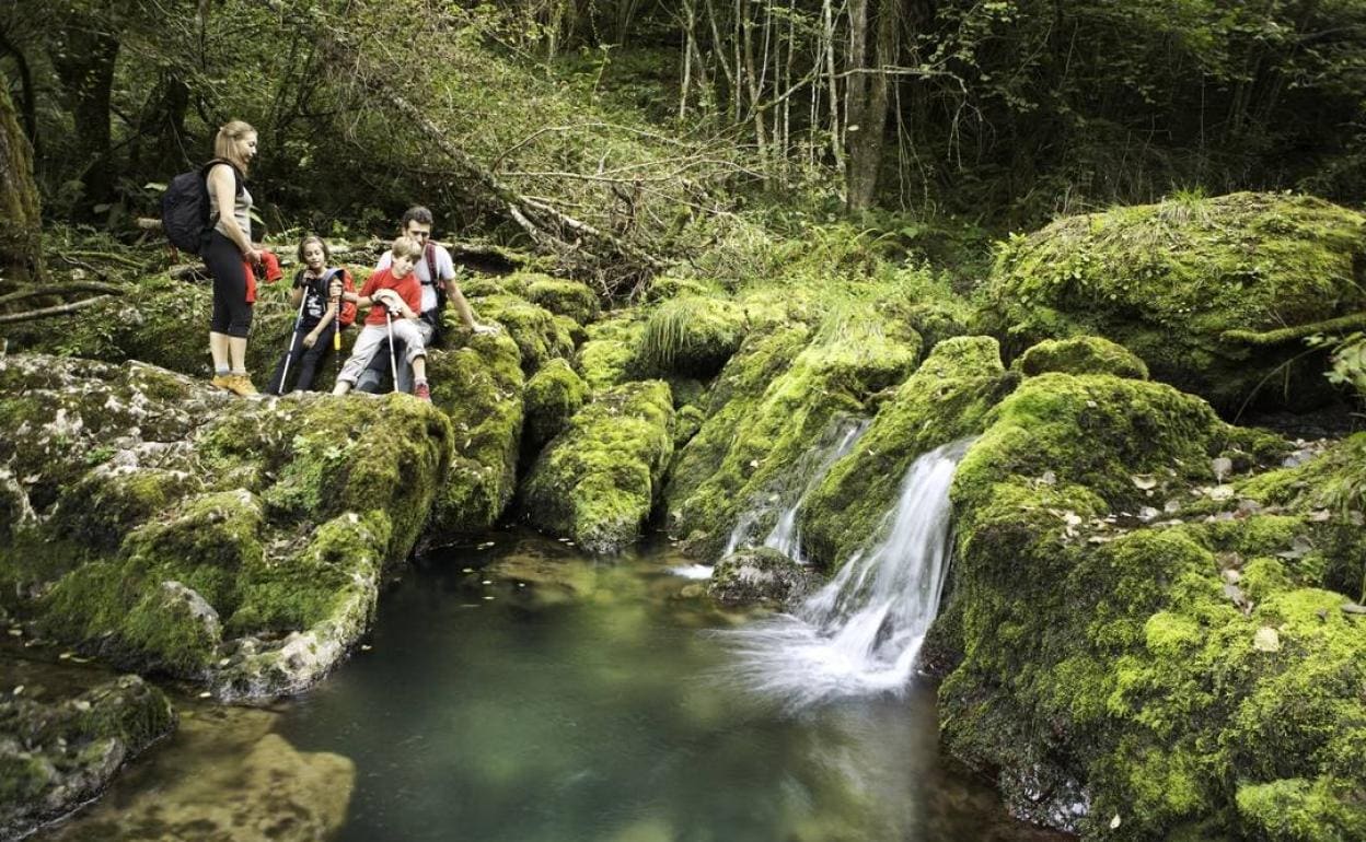 Las rutas por la naturaleza son un plan ideal en familia.