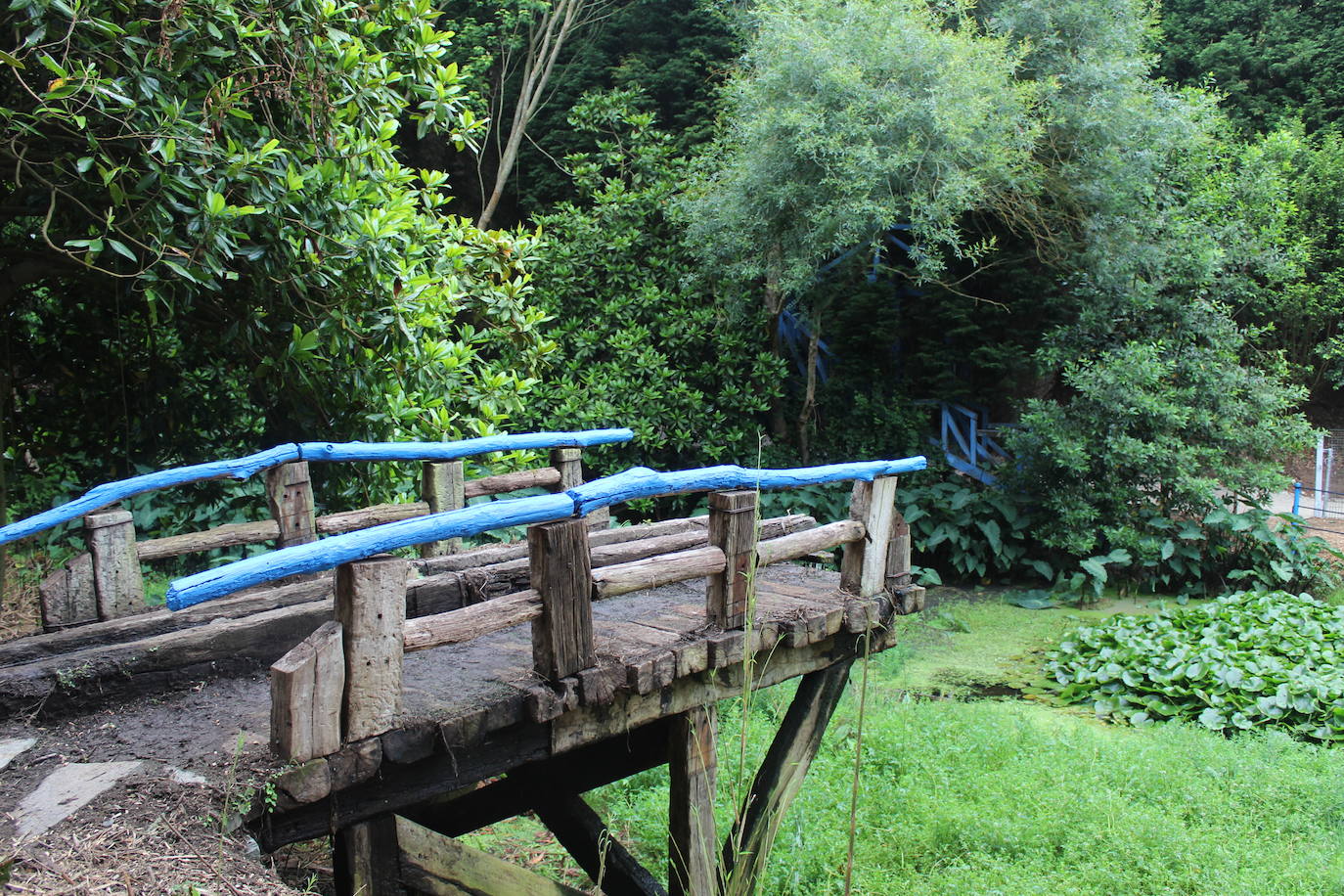 Los jardines de la Fonte Baixa (o de Panrico), el mayor botánico privado de Europa, abren al gran público. Los visitantes podrán pasear por la mitad de sus casi 20 hectáreas, y contemplar especies de los cinco continentes, miradores, plazas, fuentes y esculturas que hacen de este complejo un lugar único. 