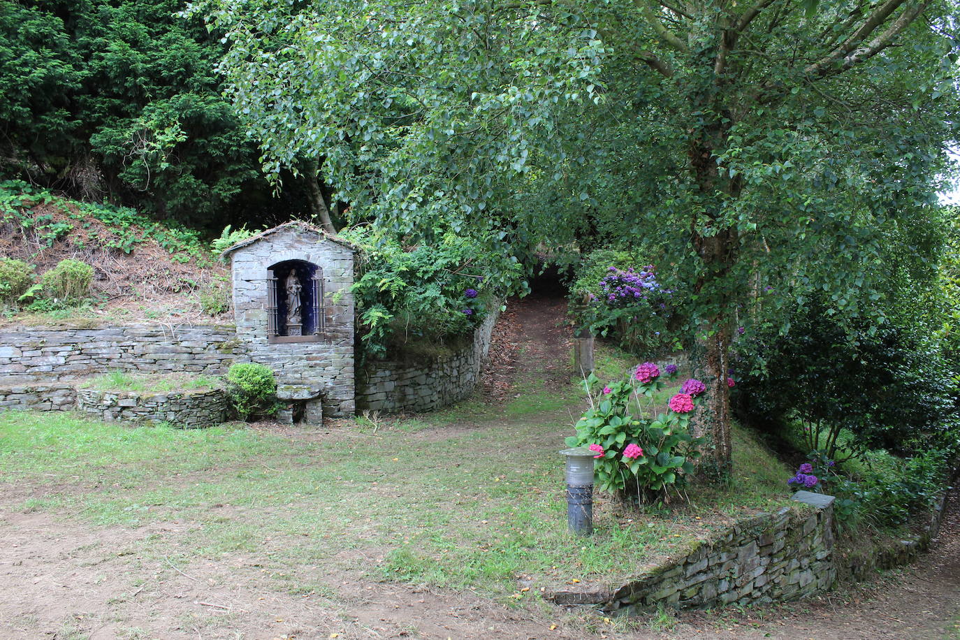 Los jardines de la Fonte Baixa (o de Panrico), el mayor botánico privado de Europa, abren al gran público. Los visitantes podrán pasear por la mitad de sus casi 20 hectáreas, y contemplar especies de los cinco continentes, miradores, plazas, fuentes y esculturas que hacen de este complejo un lugar único. 