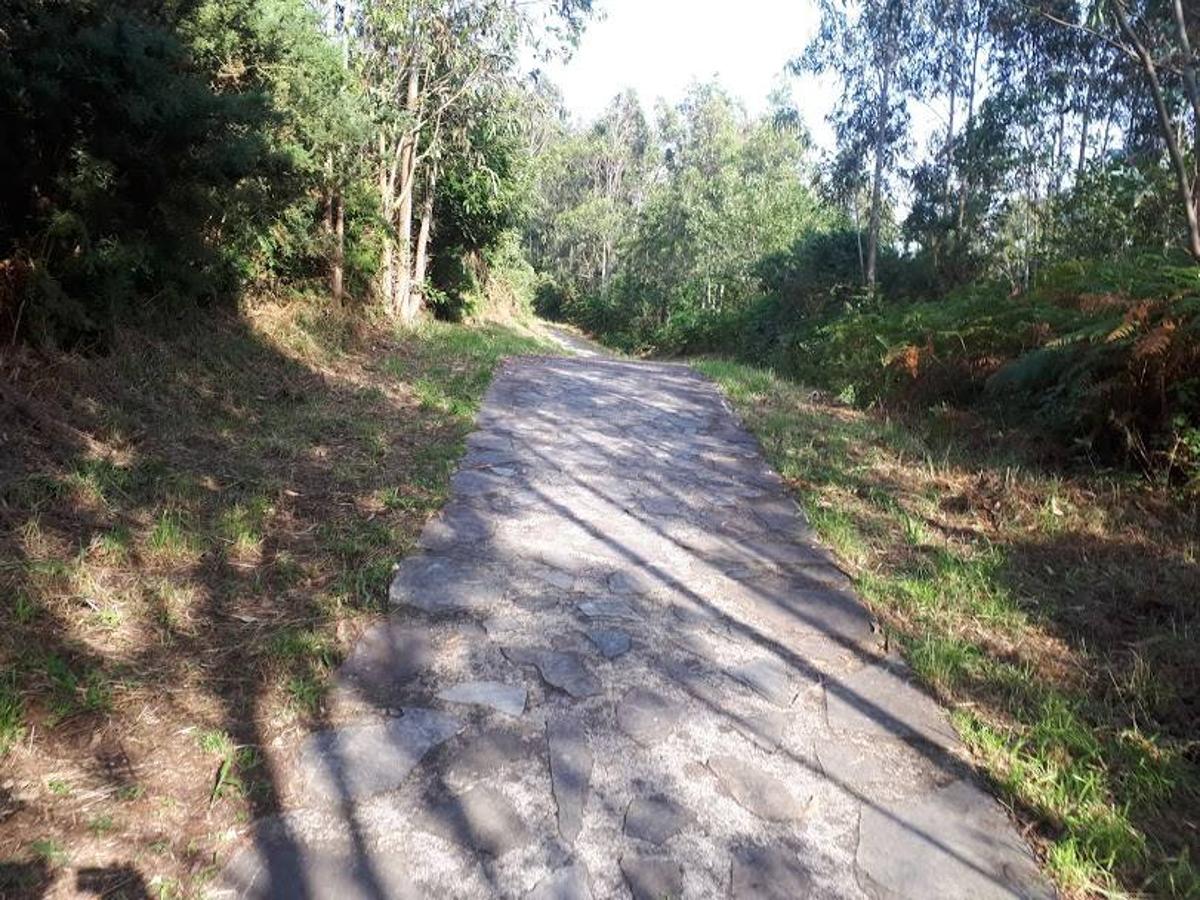 Fotos: Un paseo entre miradores por Muros de Nalón