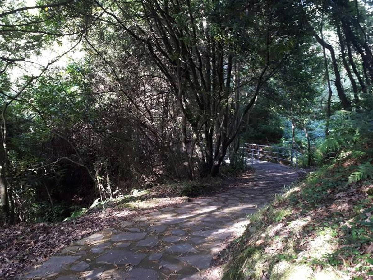 Fotos: Un paseo entre miradores por Muros de Nalón