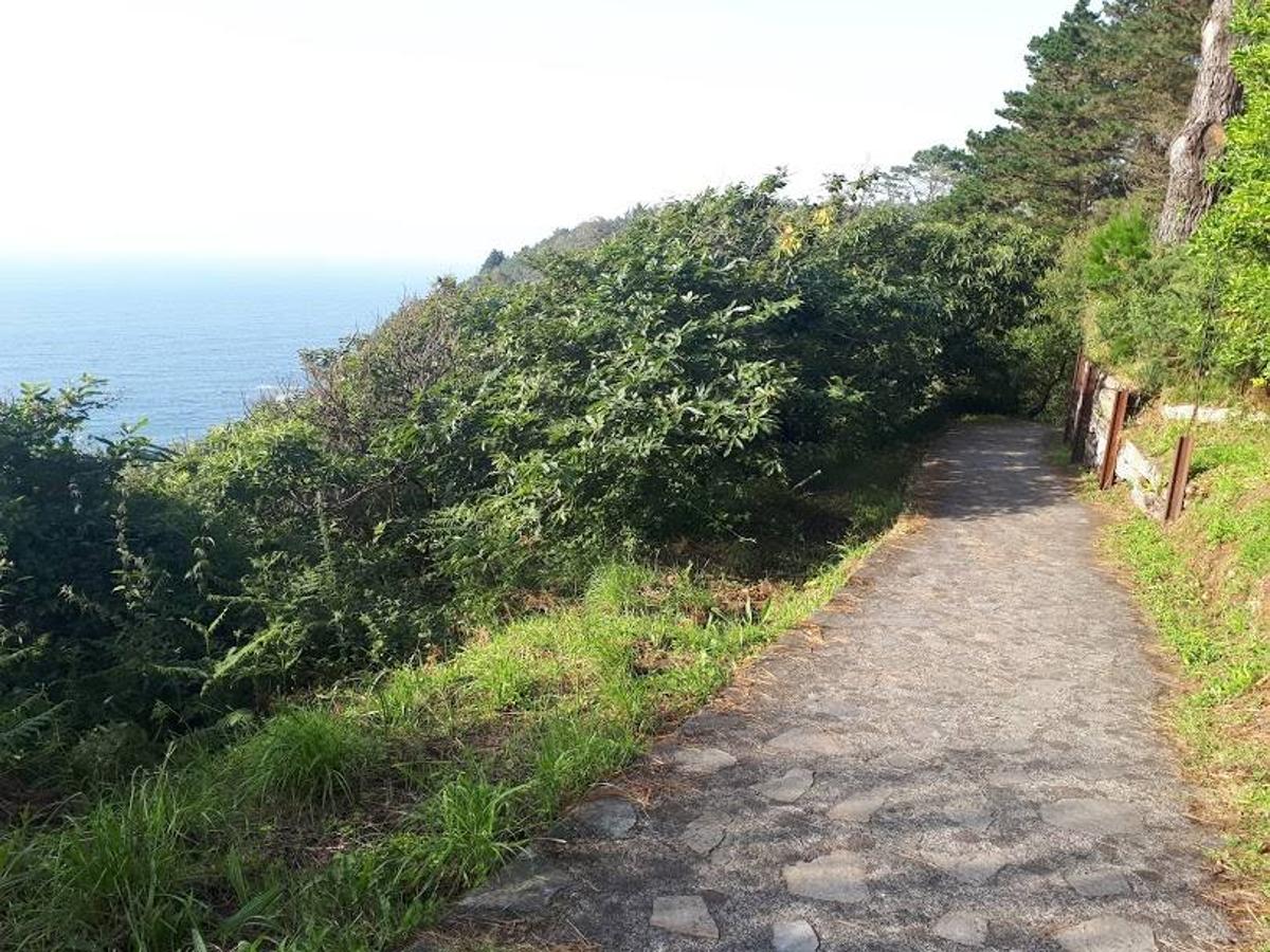 Fotos: Un paseo entre miradores por Muros de Nalón