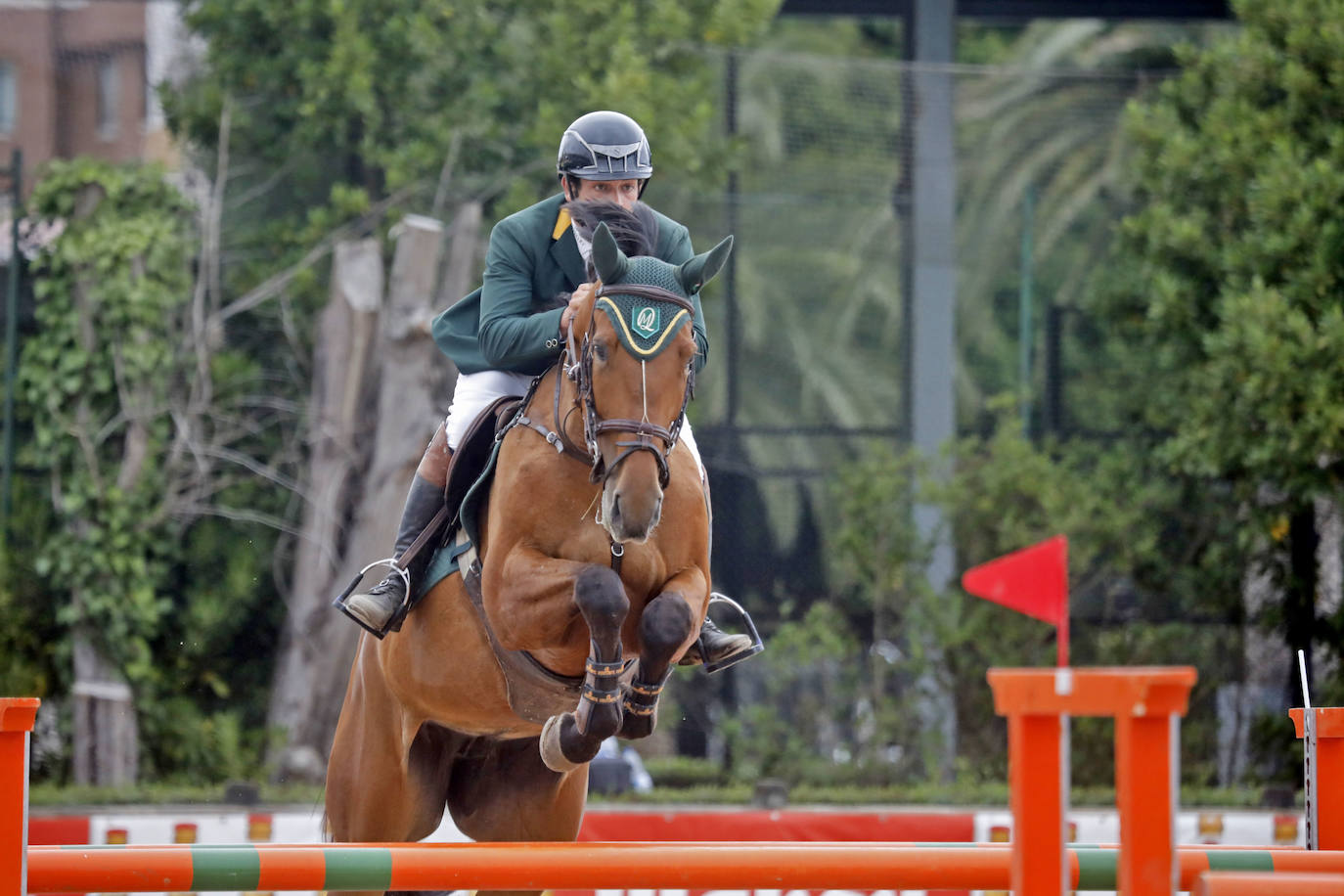 Fotos: Caballos jóvenes y adultos se dan cita para realizar pruebas de altura