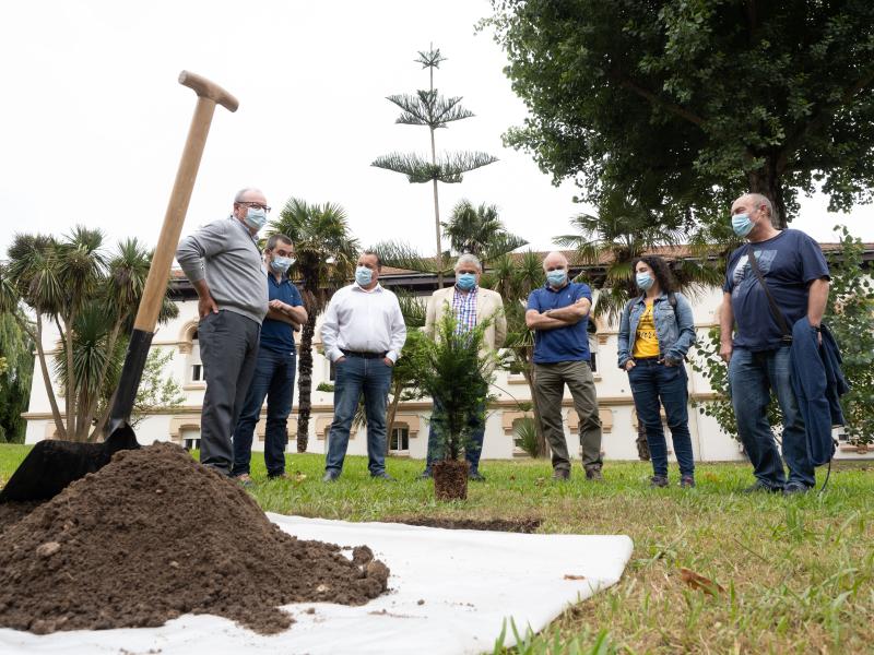 Fotos: Homenaje a las víctimas del COVID-19