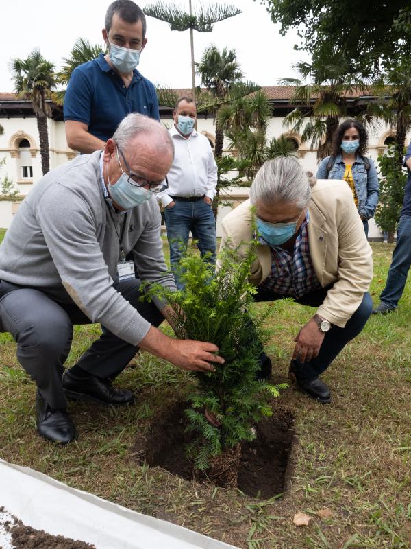 Fotos: Homenaje a las víctimas del COVID-19