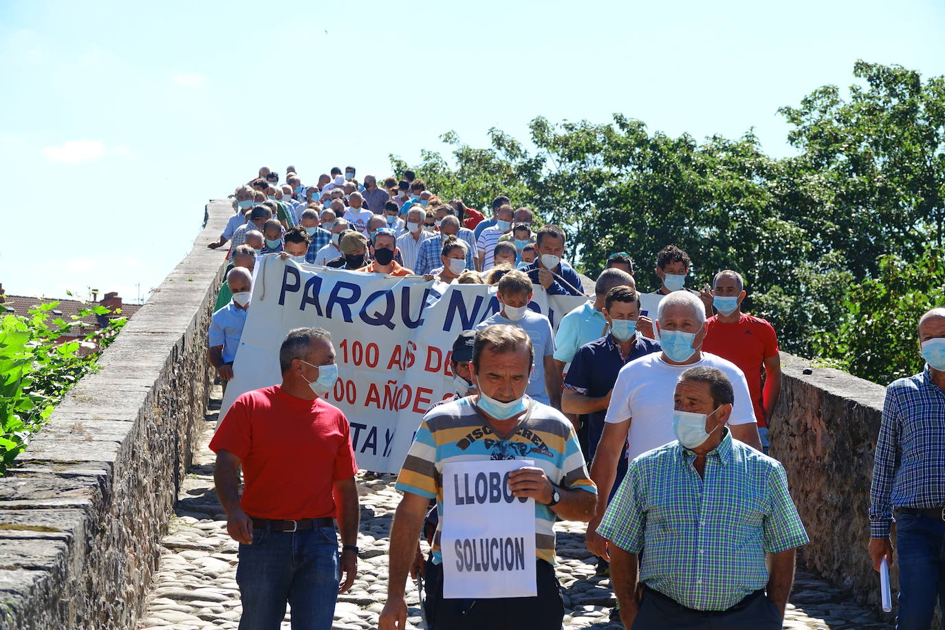 Cerca de 300 ganaderos salen a la calle en Cangas de Onís ante el importante repunte de los ataques que sus animales llevan sufriendo desde junio. 