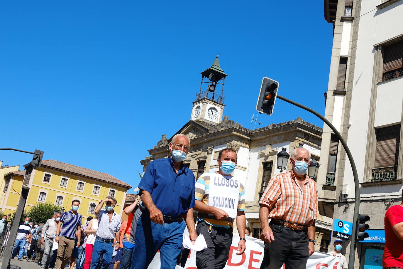 Cerca de 300 ganaderos salen a la calle en Cangas de Onís ante el importante repunte de los ataques que sus animales llevan sufriendo desde junio. 
