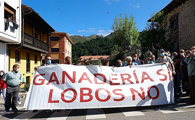 Imagen. Los ganaderos del Oriente piden «acción inmediata» ante el lobo. 