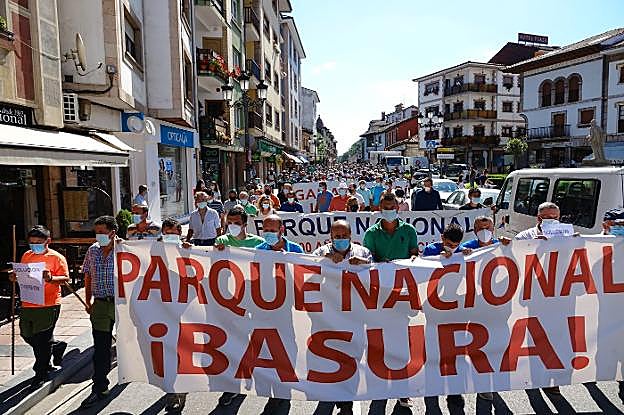 Cerca de trescientos ganaderos de la comarca se manifiestan por las calles de Cangas de Onís para reclamar un nuevo plan del lobo. 