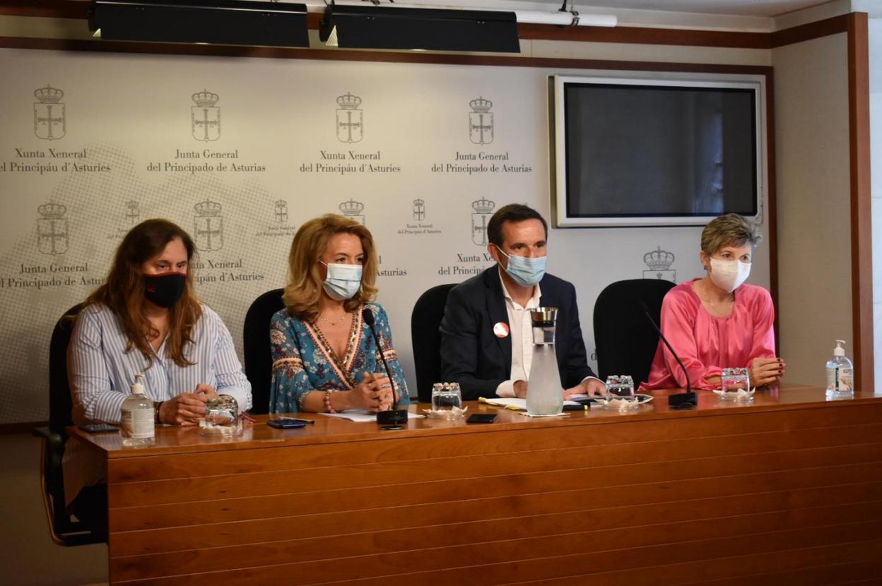 Salomé Sanmartino, Teresa Mallada, Javier Cuesta y Estefanía González, en la Junta General del Principado. 