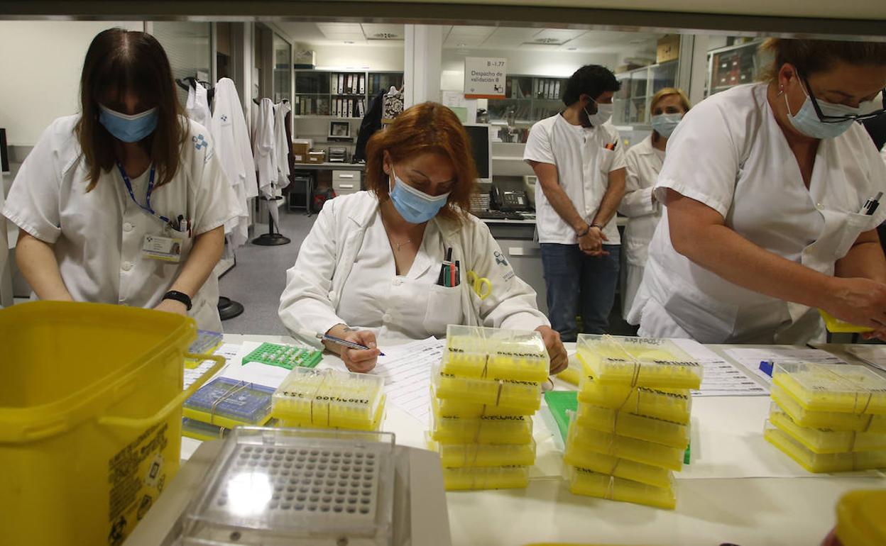 Un joven que regresó tras una estancia en un camping de Huesca, nuevo positivo en Asturias