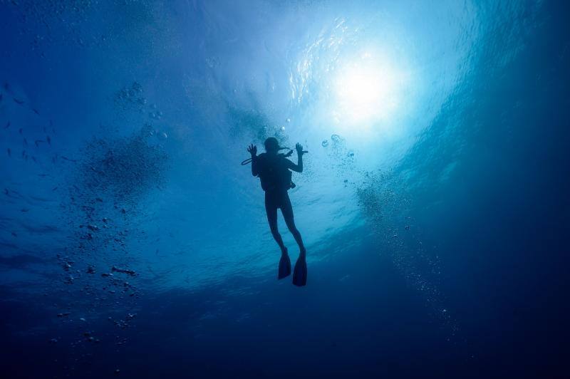 Espectaculares imágenes de anémonas, peces, o corales en la isla de Koh Tao, en la provincia de Surat Thani, en el sur de Tailandia.