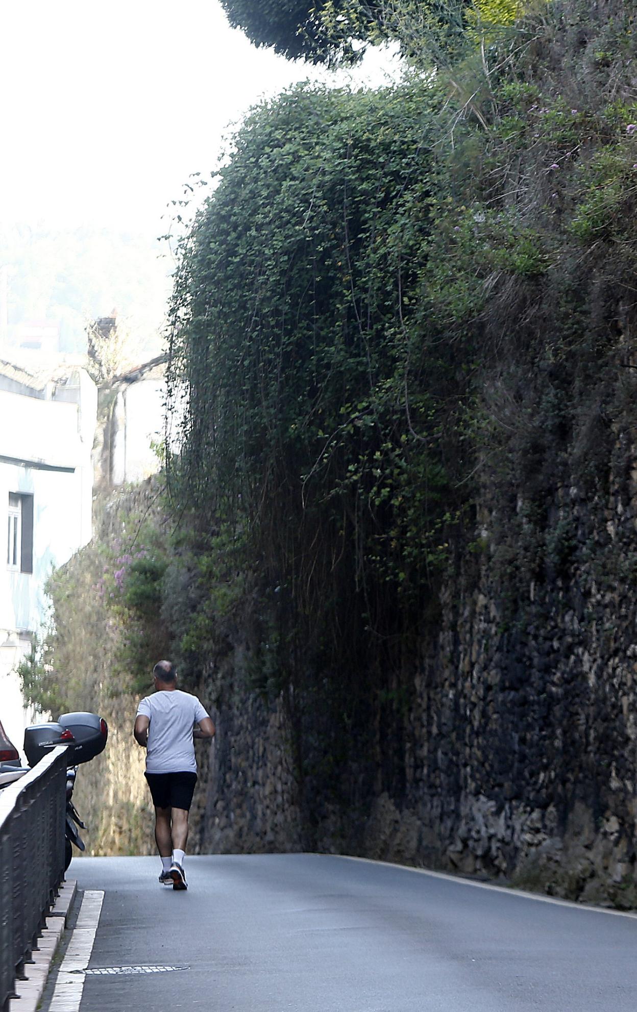 La muralla medieval, invadida por la maleza, espera su mejora. 