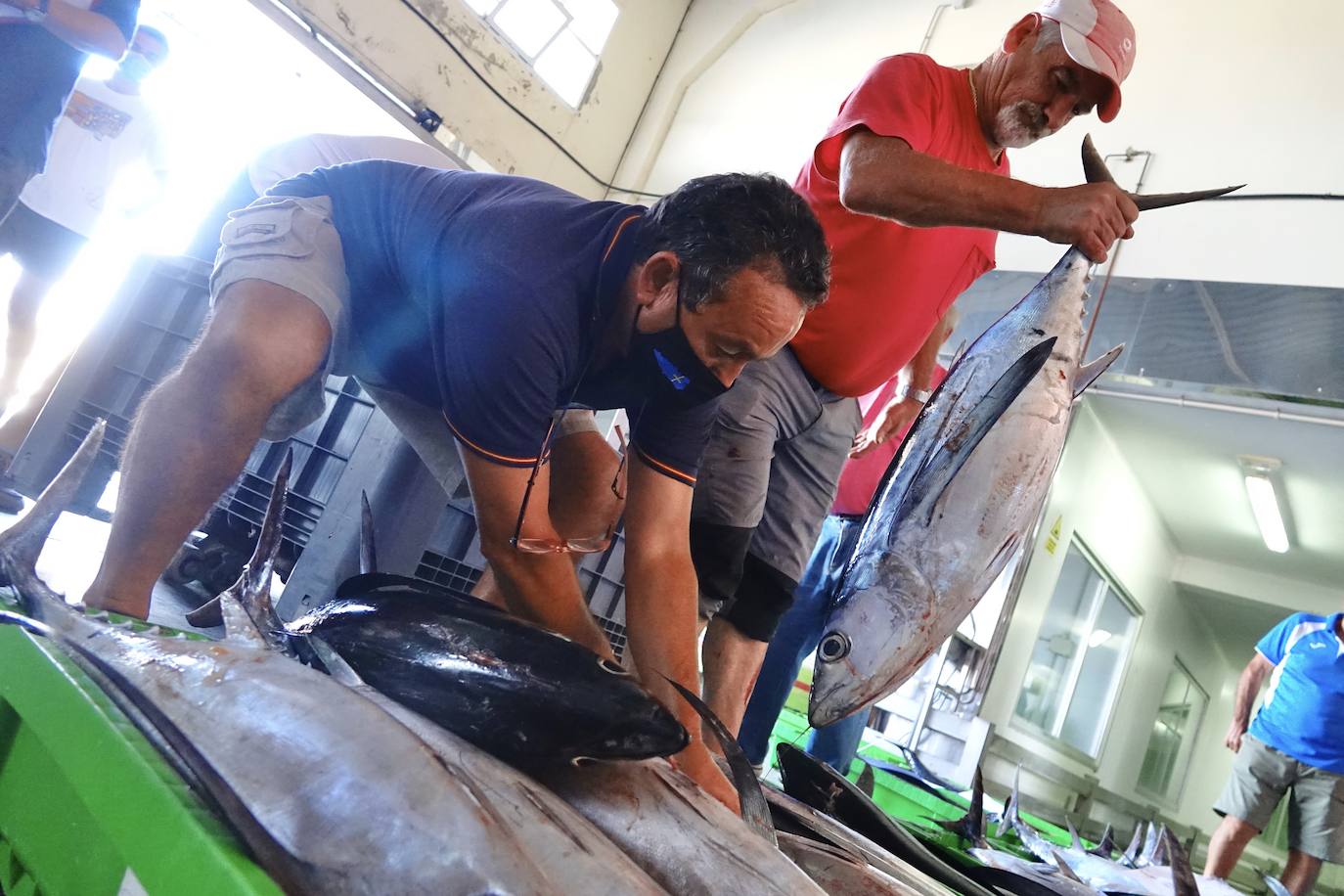 El XIV Concurso de Pesca de Altura, organizado por el Club Náutico Bahía de Lastres, se saldó con 129 bonitos y 1.059 kilos de capturas. La sorpresa de la jornada fue el tamaño de una de las piezas, un atún patudo de 84 kilos capturado por 'La Covina'. 