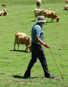 Imagen secundaria 2 - Consejo de Pastores sin fiesta y con mascarilla