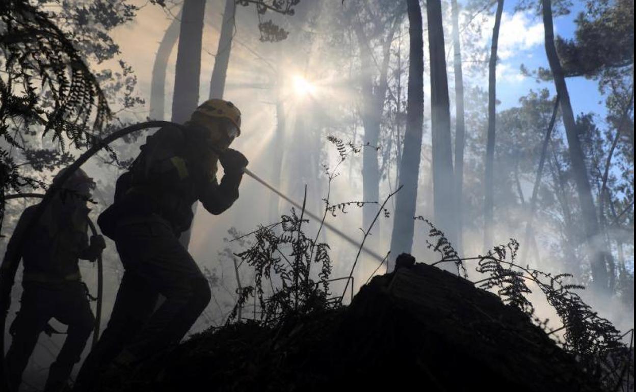 Bomberos forestales trabajan en la extinción de uno de los incendios en Galicia.