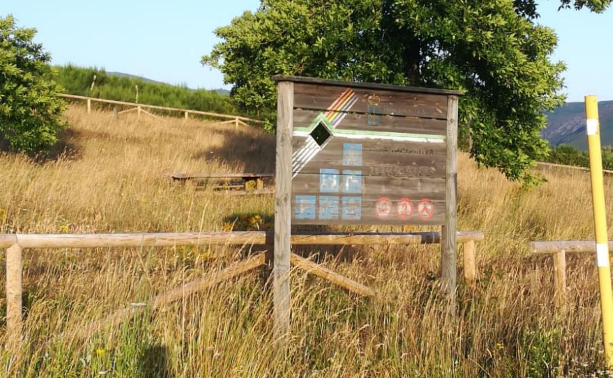 Vegetación abundante en el área recreativa de Tormaleo, en Ibias. 