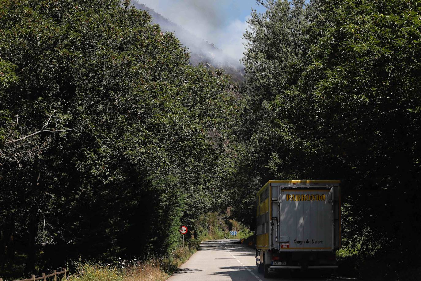 El fuego se localiza en el monte vecinal de Bello y Pando