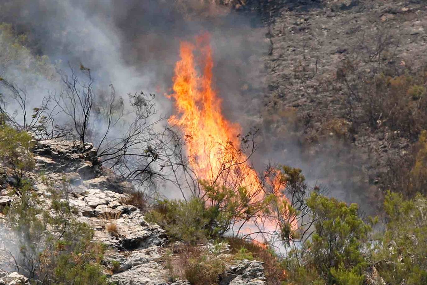 El fuego se localiza en el monte vecinal de Bello y Pando