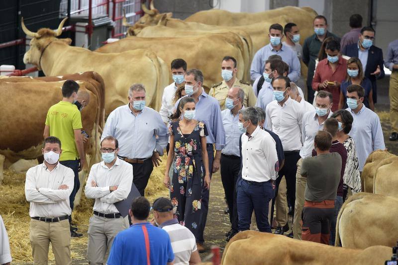 Don Felipe y doña Letizia iniciaron en Canarias su gira por todo el país tras el confinamiento. Los Reyes visitarán todas las comunidades autónomas de España con el objetivo de apoyar al turismo después de la pandemia. 