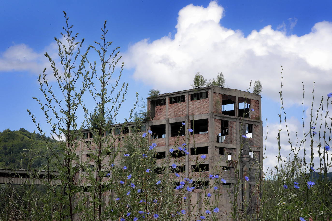 El rescate cultural de las minas parte de la transición hacia una economía más ecológica