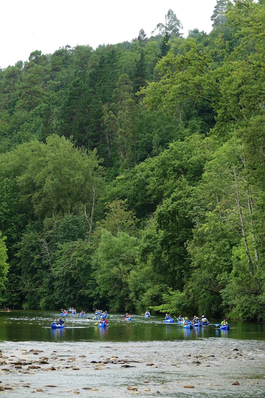 El XXVII Descenso del Sella Adaptado contó con la participación de un grupo reducido de deportistas con discapacidad para que la celebración de la prueba se ajustara a la normativa de prevención y actuación ante la #covid19. Las piraguas fueron ocupadas por una persona con discapacidad y un acompañante sin afectación y bajo medidas de seguridad sanitarias