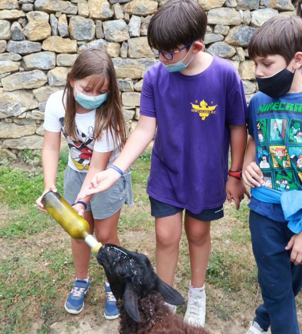 Alicia Fierro, Rodrigo Fierro y Pedro Soroa.