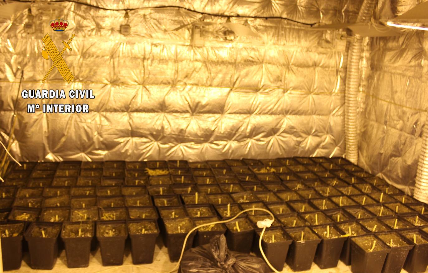 La Guardia Civil ha detenido a tres hombres por una plantación de marihuana en una vivienda de Oviedo, donde se hallaron droga valorada en unos 60.000 euros, útiles para el cultivo en otros 50.000 euros y tres carabinas.