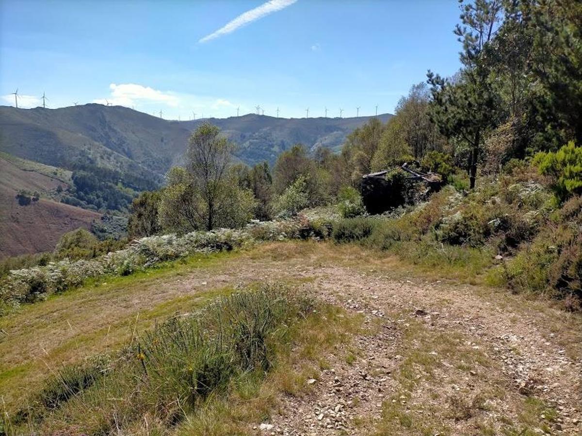 Fotos: Ruta de las Brañas Vaqueiras de Cudillero por el Parque Eólico Pumar