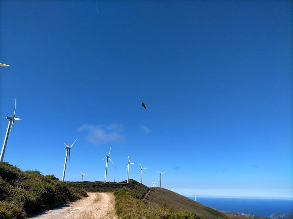 Fotos: Ruta de las Brañas Vaqueiras de Cudillero por el Parque Eólico Pumar