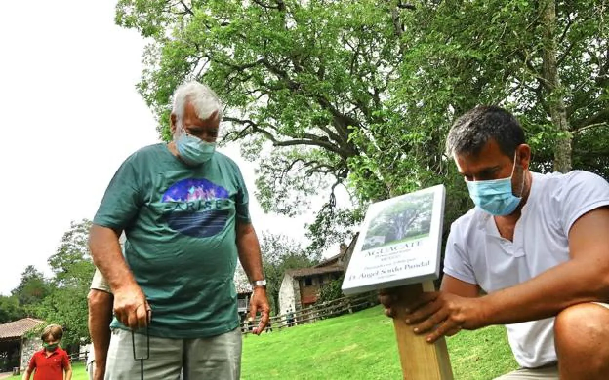 Miguel Bueno Jiménez y su hijo Enrique colocan la placa por delante del gigantesco aguacate de Porrúa.
