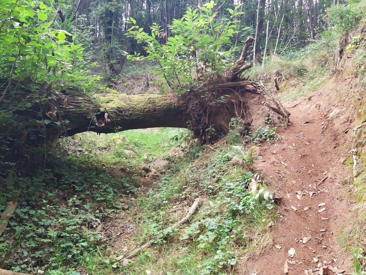 Fotos: Un viaje al pasado por la ruta del Dolmen de Merillés