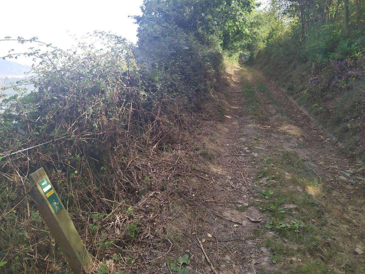 Fotos: Un viaje al pasado por la ruta del Dolmen de Merillés
