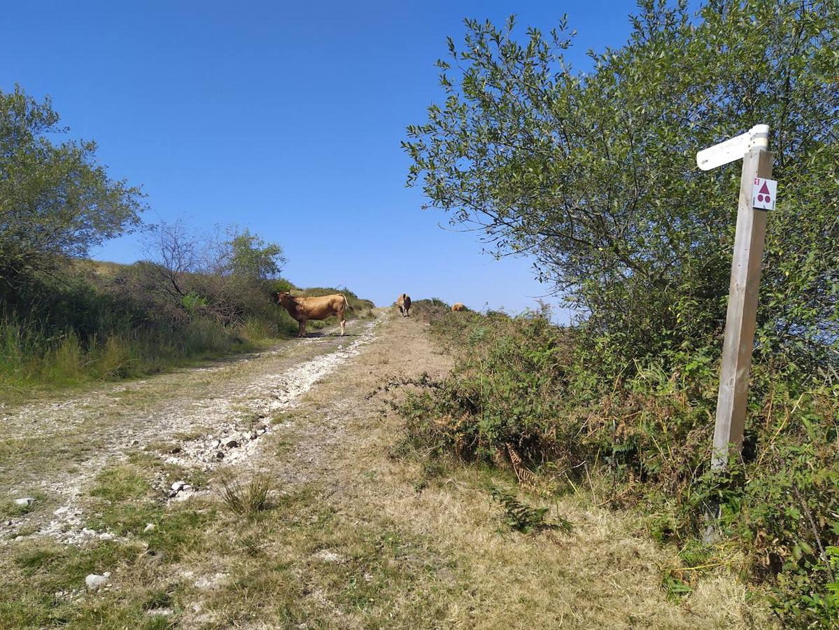 Fotos: Un viaje al pasado por la ruta del Dolmen de Merillés