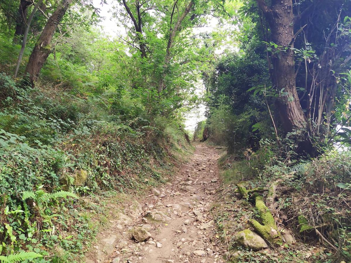 Fotos: Un viaje al pasado por la ruta del Dolmen de Merillés