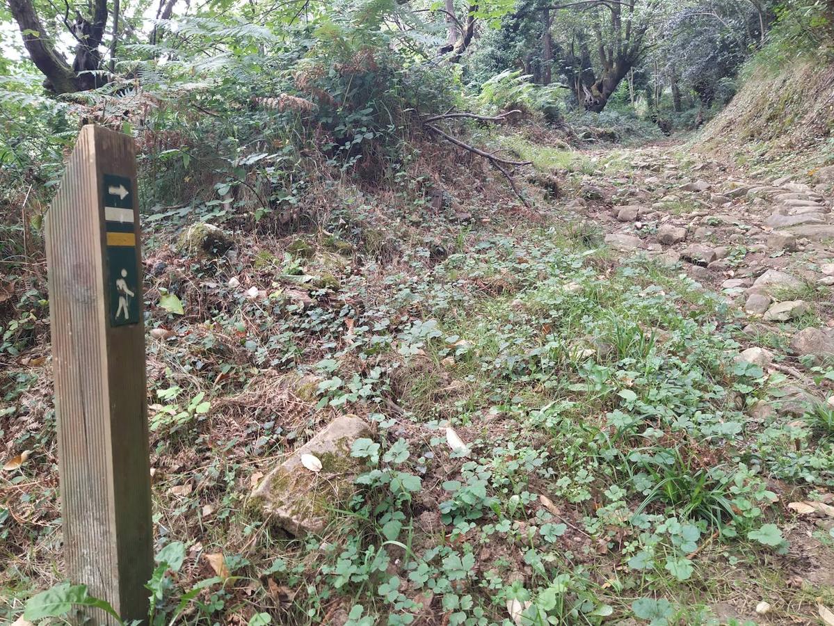 Fotos: Un viaje al pasado por la ruta del Dolmen de Merillés