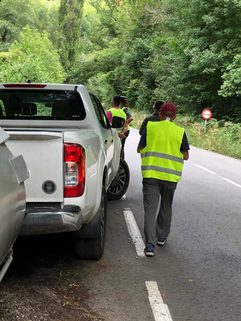 El animal salió de improviso a la calzada, por lo que el conductor que lo atropelló no pudo evitar el accidente.