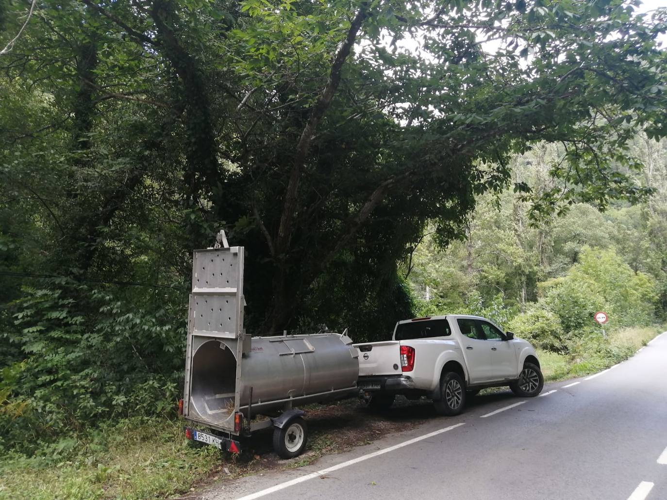 El animal salió de improviso a la calzada, por lo que el conductor que lo atropelló no pudo evitar el accidente.