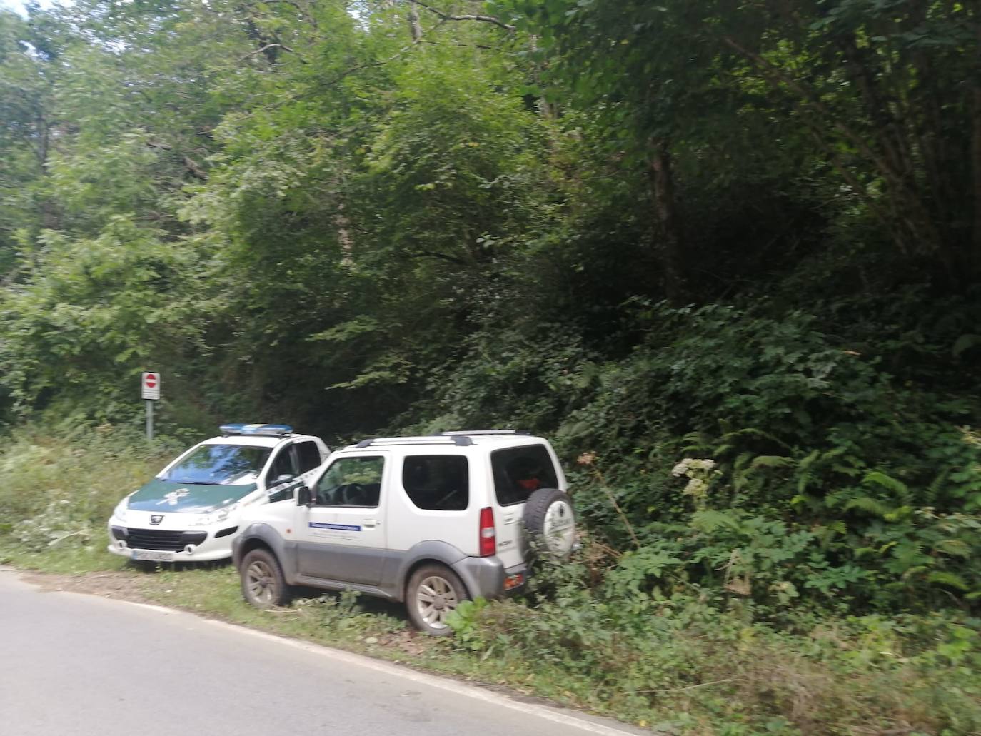 El animal salió de improviso a la calzada, por lo que el conductor que lo atropelló no pudo evitar el accidente.