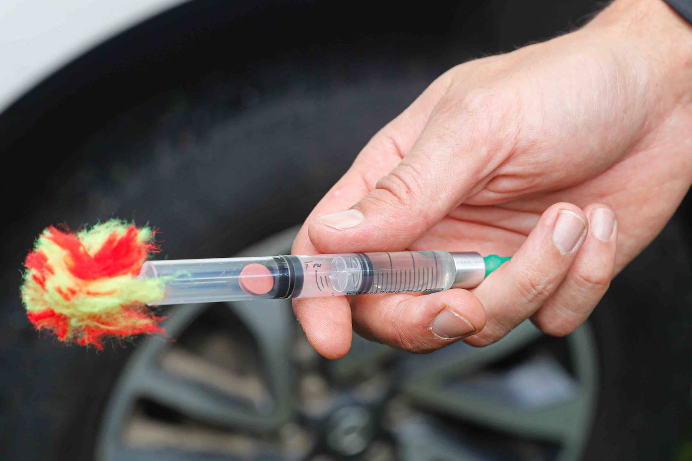 La búsqueda del plantígrado resulta compleja debido a las dificultades de acceso en una zona de monte bajo