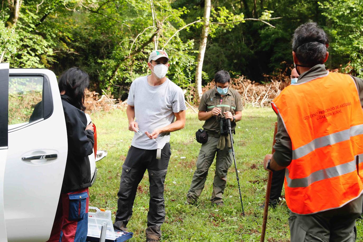 La búsqueda del plantígrado resulta compleja debido a las dificultades de acceso en una zona de monte bajo