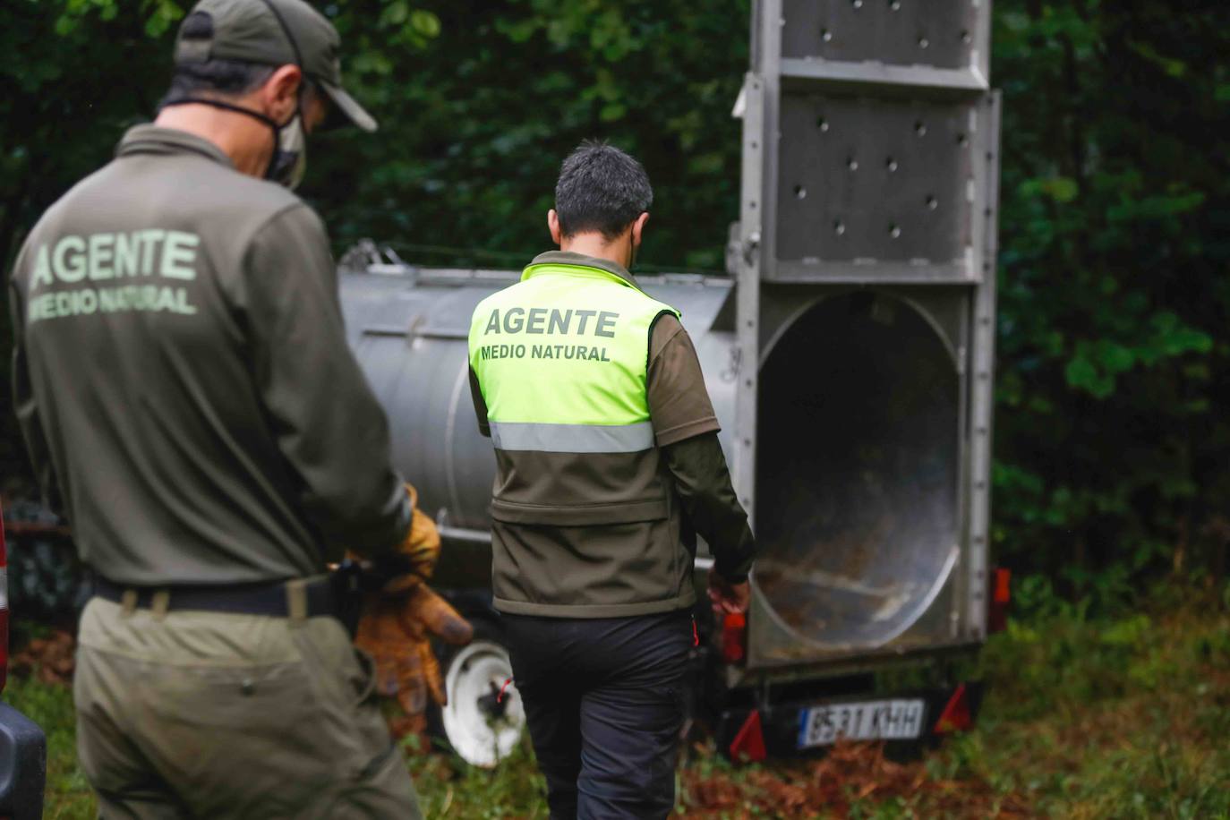 La búsqueda del plantígrado resulta compleja debido a las dificultades de acceso en una zona de monte bajo