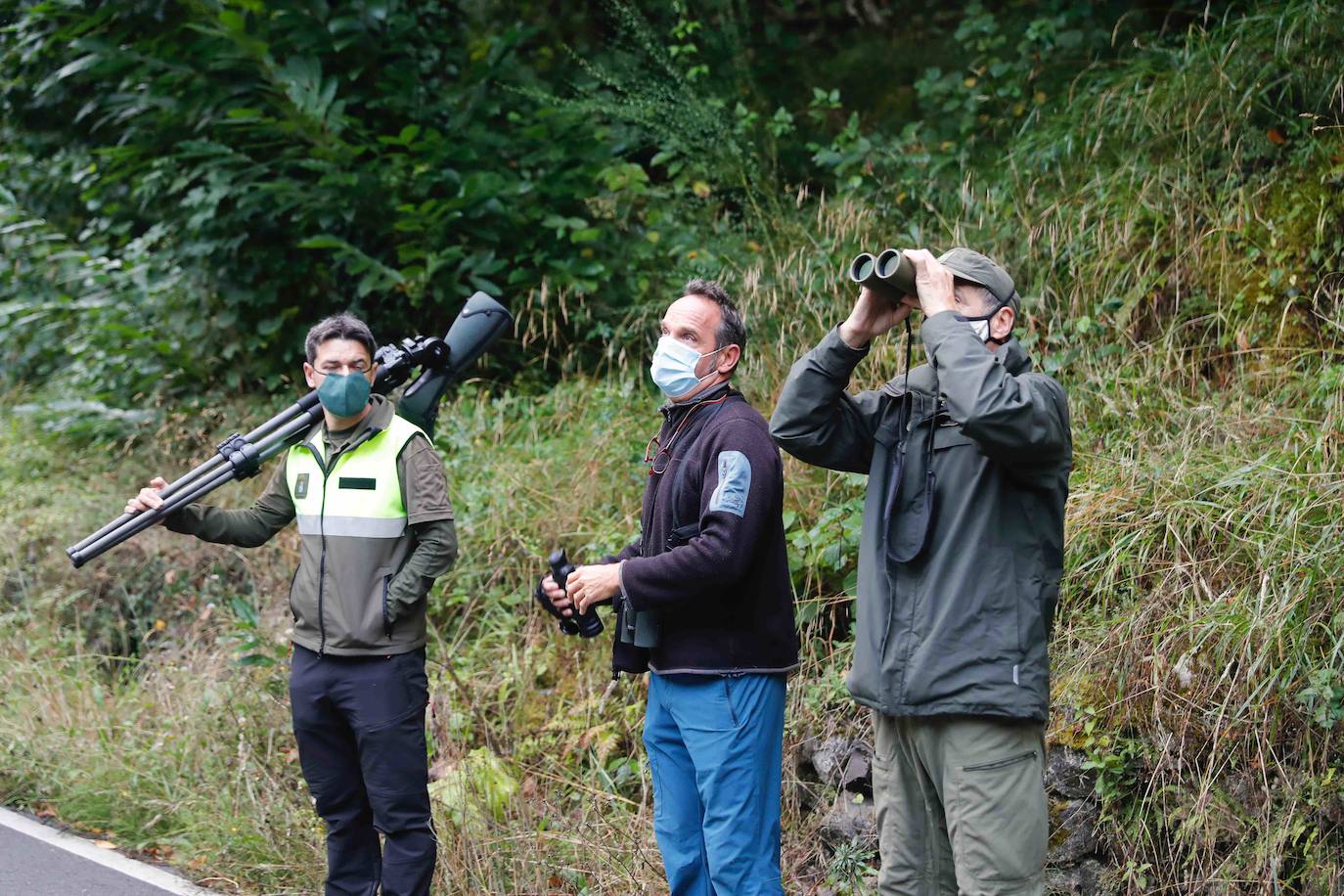 La búsqueda del plantígrado resulta compleja debido a las dificultades de acceso en una zona de monte bajo