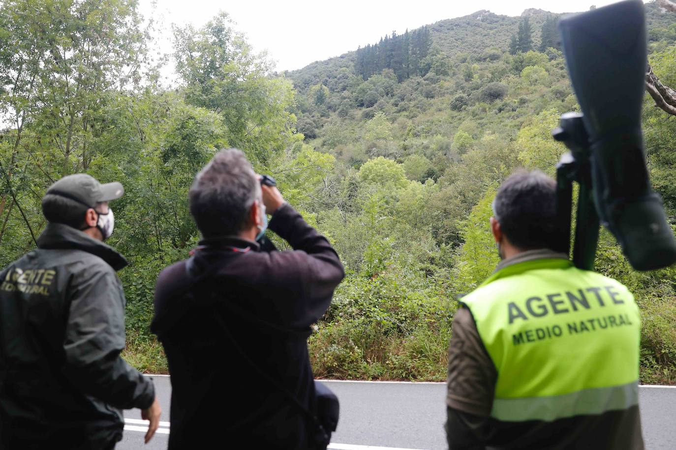 La búsqueda del plantígrado resulta compleja debido a las dificultades de acceso en una zona de monte bajo