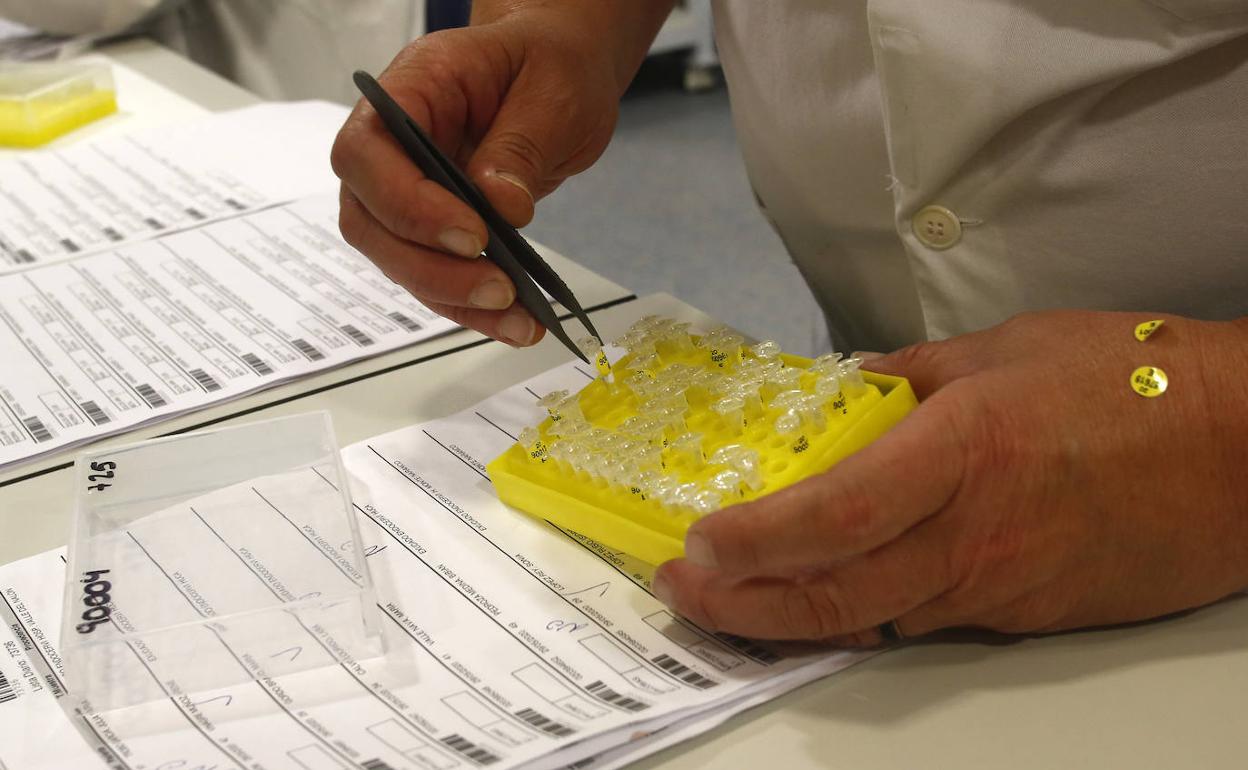 Cierra un restaurante en Cangas de Onís tras un positivo en su plantilla