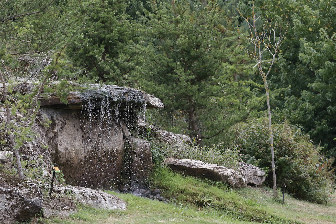 El Jardín Botánico Atlántico de Gijón es un espacio vivo, que ocupa 25 hectáreas de terreno perfectamente diseñadas y se convierte en un gran expositor, un microcosmos verde y florido en el que crecen multitud plantas y árboles