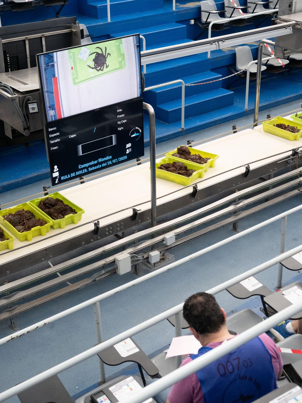 Una subasta reciente en la rula avilesina. 