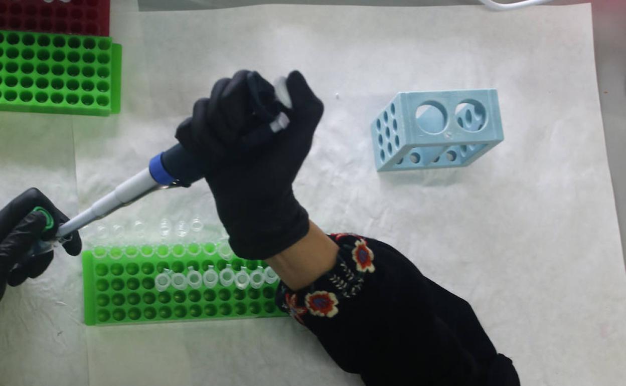 Coronavirus | Asturias analizará aguas residuales para detectar la COVID-19 por barrios