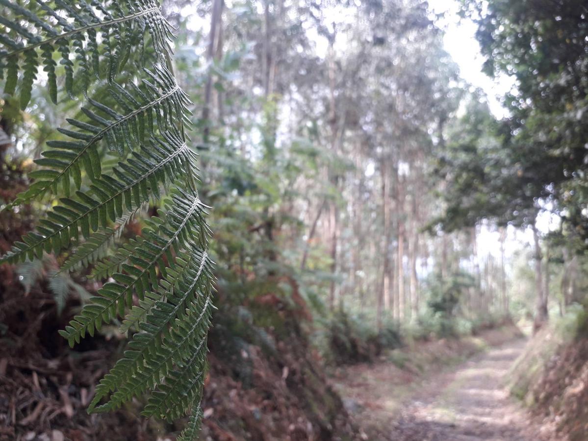 Fotos: Una caminata hasta las Trincheras de Ranón y su imponente mirador