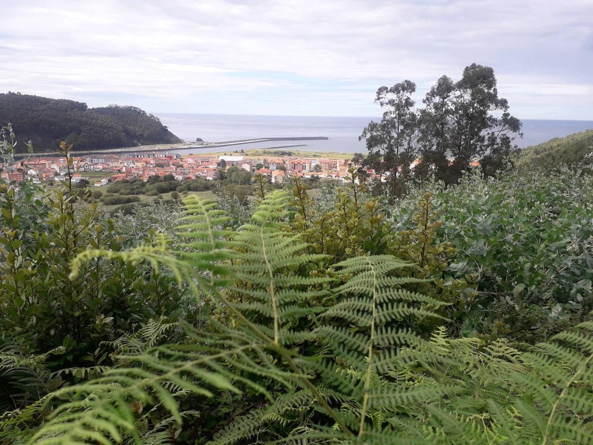 Fotos: Una caminata hasta las Trincheras de Ranón y su imponente mirador